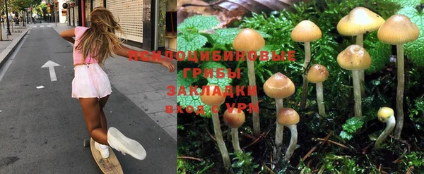 не бодяженный Баксан
