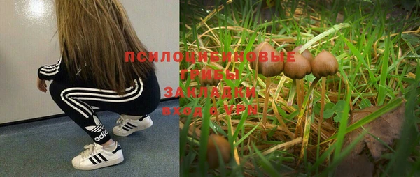 не бодяженный Баксан