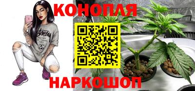 амф Пушкино