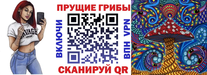 Псилоцибиновые грибы MAGIC MUSHROOMS  Черняховск 